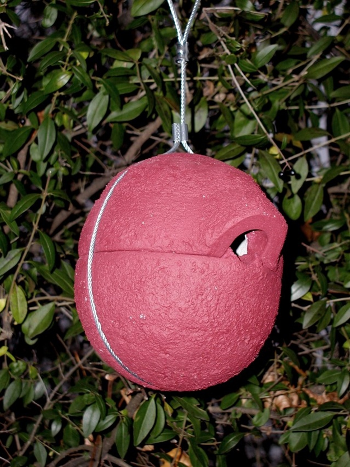 Naturschutzprodukt Nisthilfe Zaunkönigkugel 1ZA Herbstlicht rot Satz 2 Stück Flugloch 30 x 27 mm