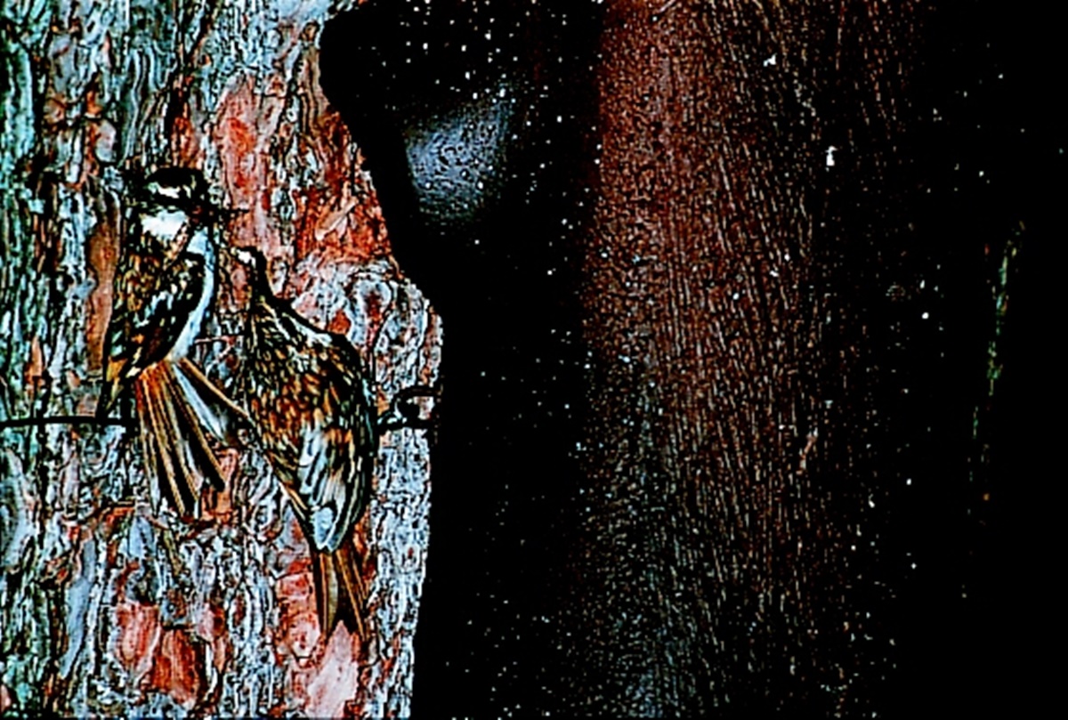 Naturschutzprodukt Baumläuferhöhle Typ 2B räubersicher Satz 2 Stück Artenschutz Produkt