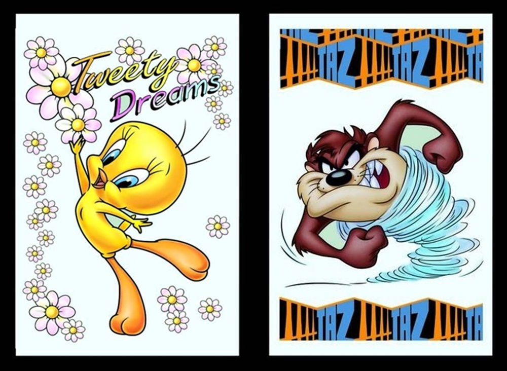 Set 2 Spiegelbilder Looney Tunes Tweety Taz Deko Bild 30x20 cm Wandbilder Hinterglasdruck mit Rahmen