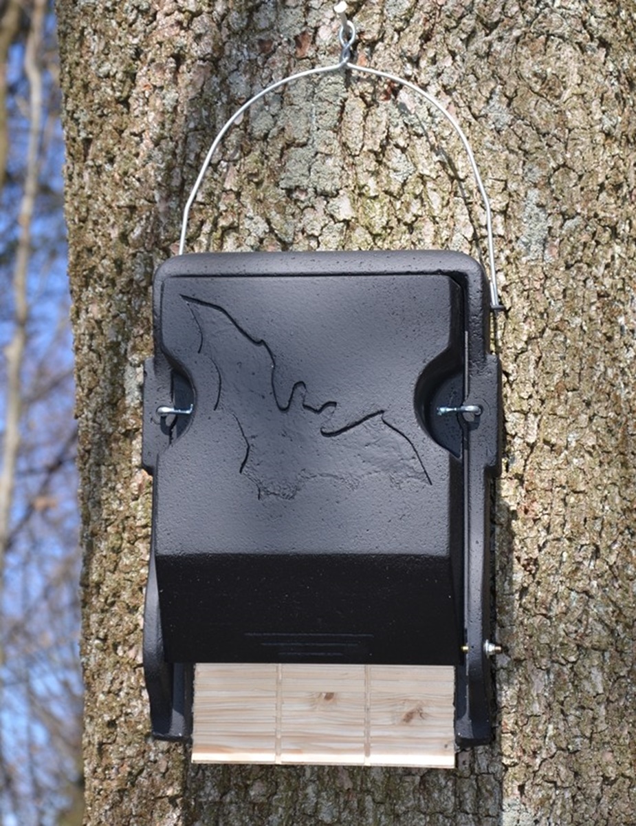 Naturschutzprodukt Fledermaus-Grossraum-Flachkasten 3FF mit eingearbeiteter Holzrückwand