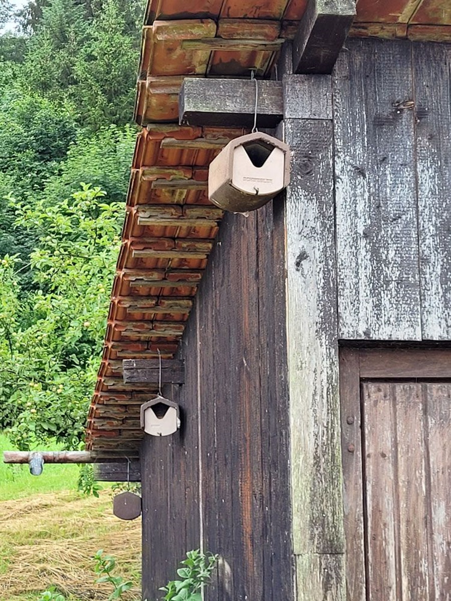 Naturschutzprodukt Halbhöhle Typ 2HW H 20 cm räubersicher Artenschutz Produkt in braun