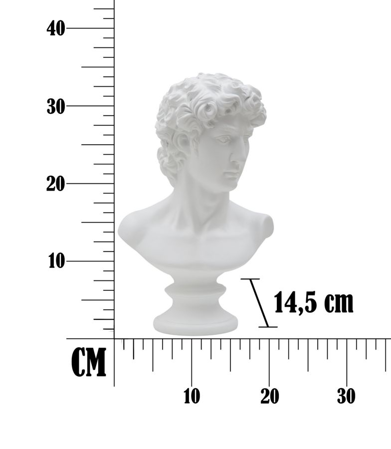 Dekofigur klassische Männerbüste Replikat David von Michelangelo Statue weiß H 34 cm