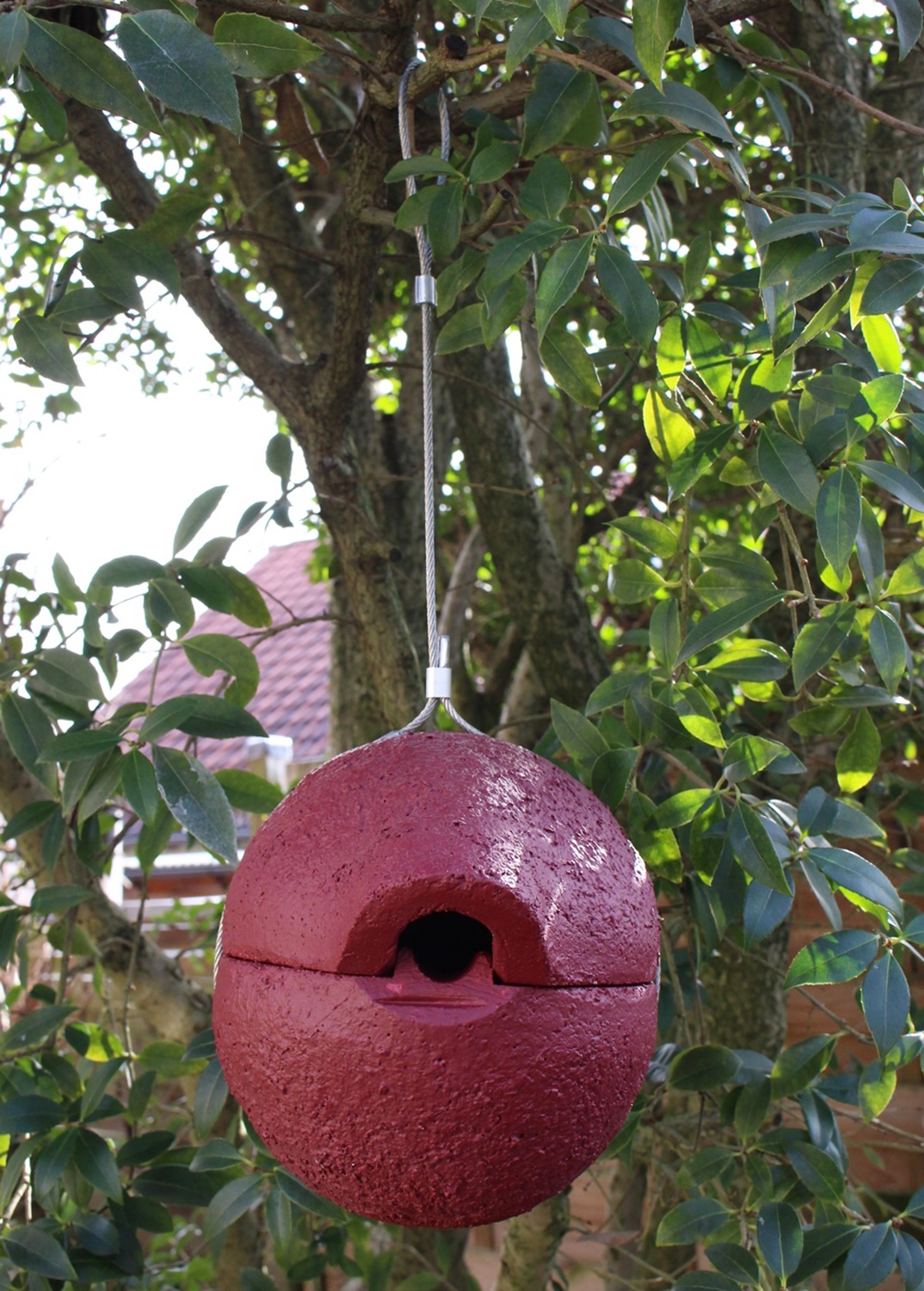 Naturschutzprodukt Nisthilfe Zaunkönigkugel 1ZA Herbstlicht rot Satz 2 Stück Flugloch 30 x 27 mm