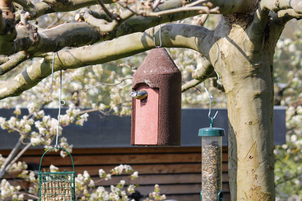 Naturschutzprodukt Nisthöhlen Satz 2 Stück Typ 2M Nisthilfe freihängend FG Vogelhöhle Flugloch 32 mm