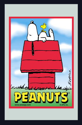 Set: 2 Spiegelbilder Snoopy Peanuts 30x20 cm Kinderzimmer Deko Dekobilder Wandbilder Hinterglasdruck