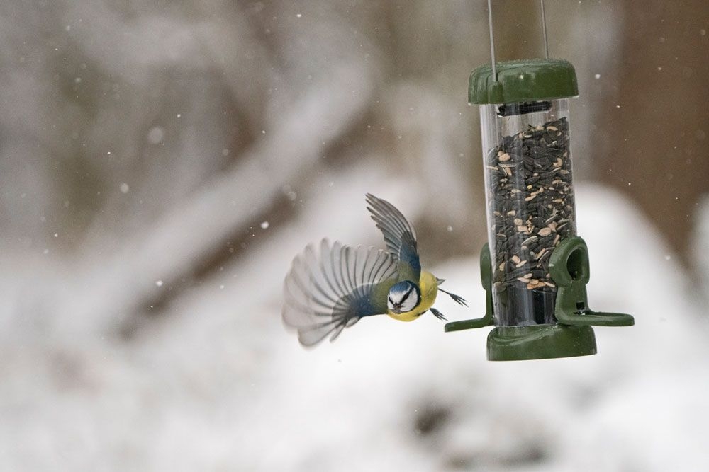 Naturschutzprodukt Futtersäule Ring-Pull Click mini Futterspender grün Metall H 33 cm Inhalt 0,5 L