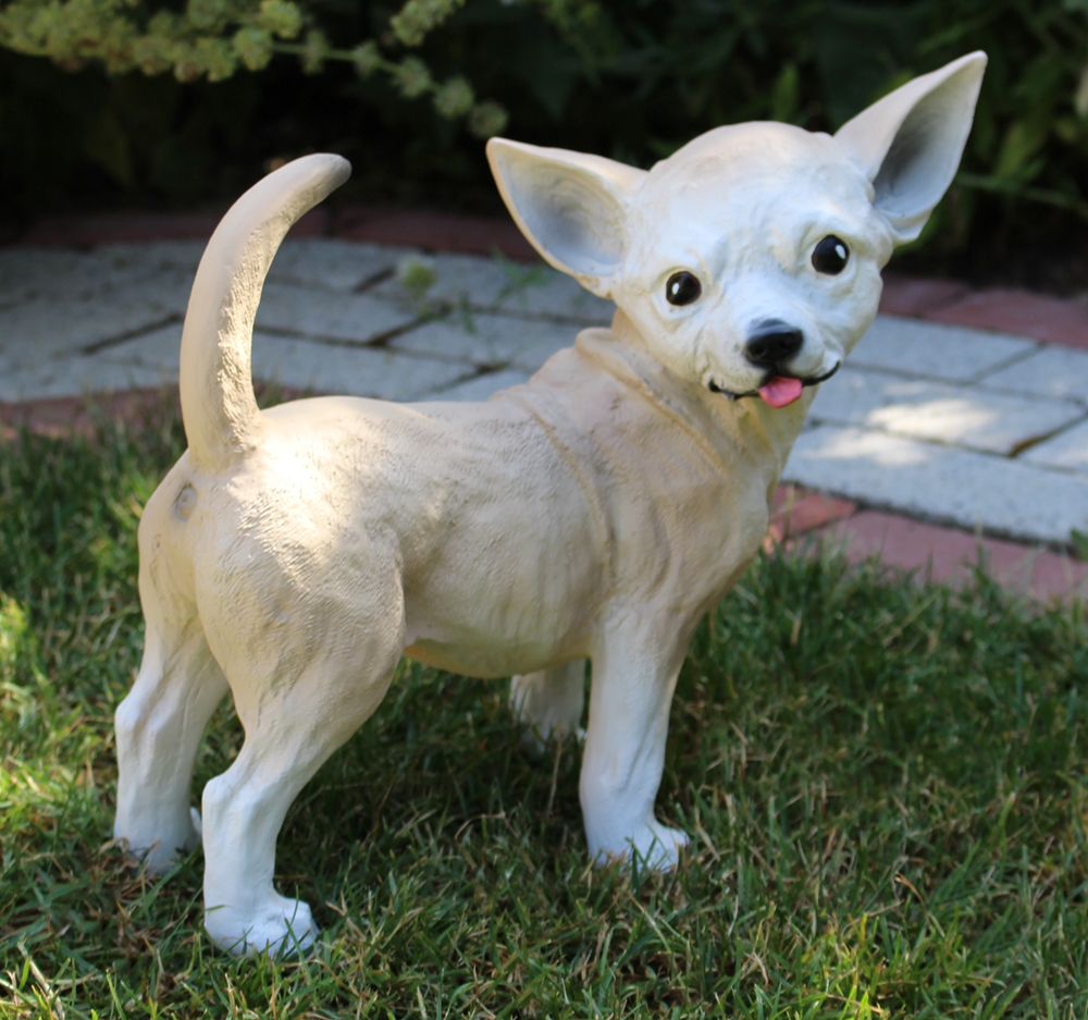 Dekorationsfigur Hund Chihuahua Höhe 29 cm Deko Figur aus Kunstharz