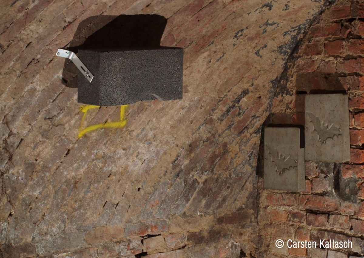 Naturschutzprodukt Fledermaus-Gewölbestein 1GS Nisthilfe H 20 cm aus Spezial-Leichtbeton