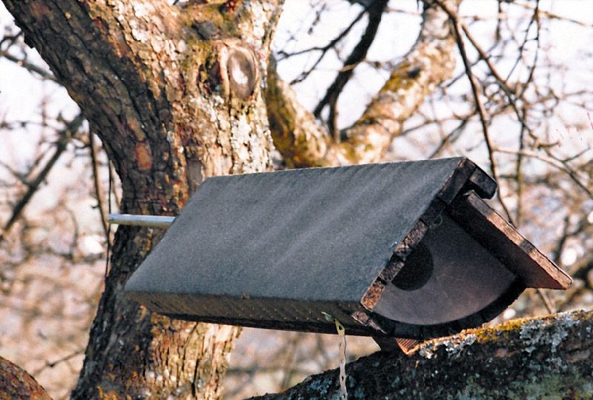 Naturschutzprodukt Steinkauzröhre Typ Nr. 22 Schaukelröhre mit Marderschutz durch Geruchsstoff