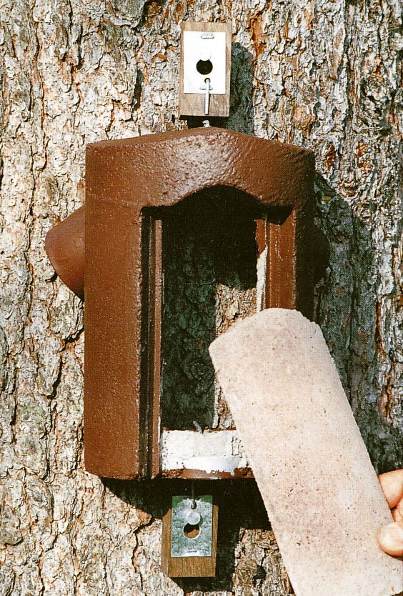 Naturschutzprodukt Baumläuferhöhle Typ 2B räubersicher Artenschutz Produkt