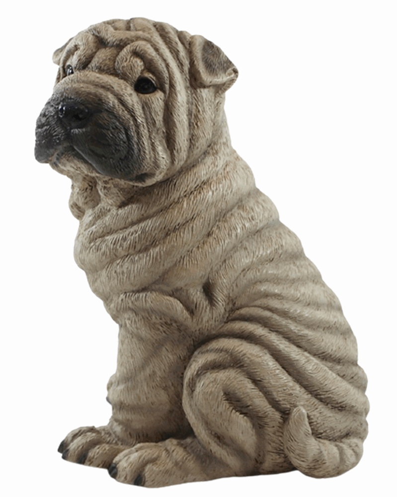 Hundefigur Chinesischer Faltenhund Shar Pei Welpe sitzend Kollektion Castagna aus Resin H 24 cm