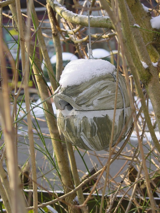 Naturschutzprodukt Nisthilfe Zaunkönigkugel 1ZA Efeu Satz 2 Stück Flugloch 30 x 27 mm"