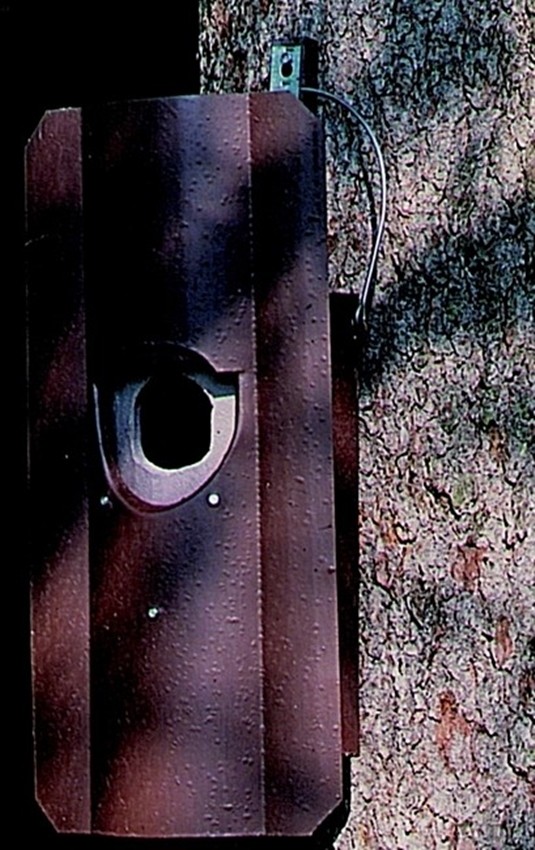 Naturschutzprodukt Eulen- Raufußkauz-, Hohltaubenhöhle Typ Nr. 4 mit Marderschutz durch Vorderwand