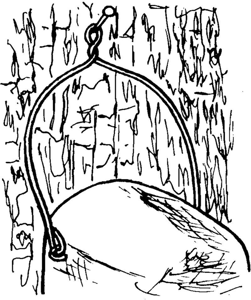 Naturschutzprodukt Nisthöhle Typ 2GR oval braun Flugloch 30 x 45 mm Nisthilfe Katzen- Marderschutz