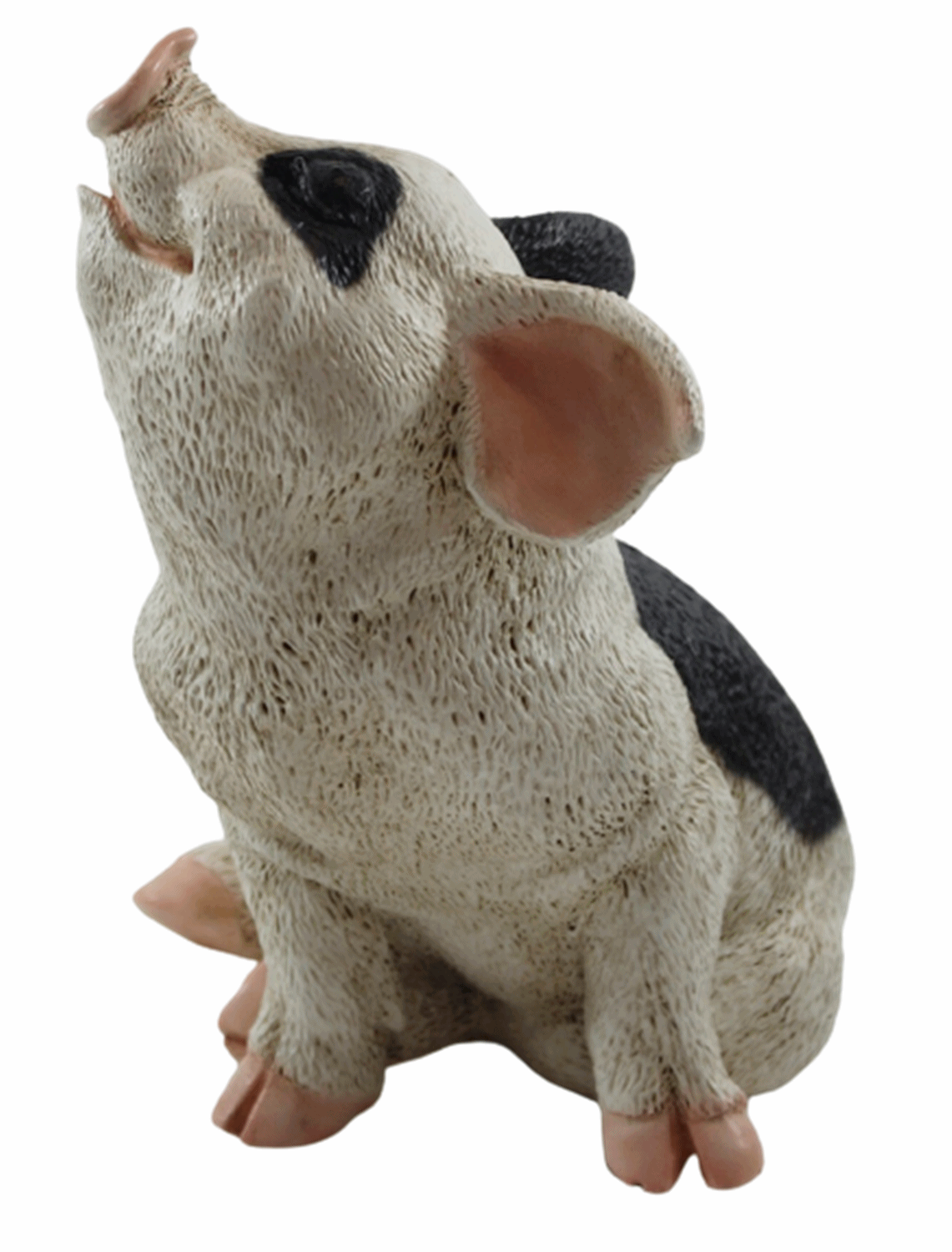 Figur Schwein Ferkel sitzend nach oben schauend gefleckt Kollektion Castagna aus Resin H 19 cm