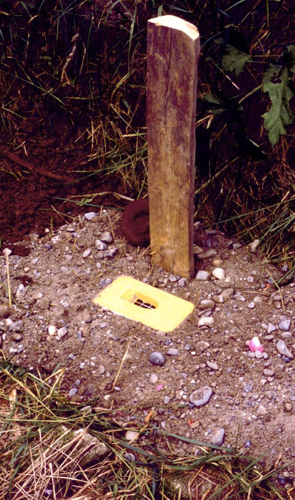 Naturschutzprodukt Hummelnistkasten zum Erdeinbau Länge 41 cm aus Holzbeton Artenschutz Produkt