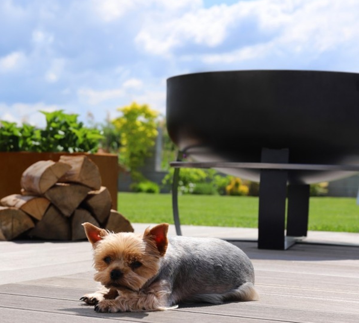 Feuerschale XXL Viking D 60 cmGrillschale Feuerstelle für Garten als Grill oder Wärmequelle  Stahl