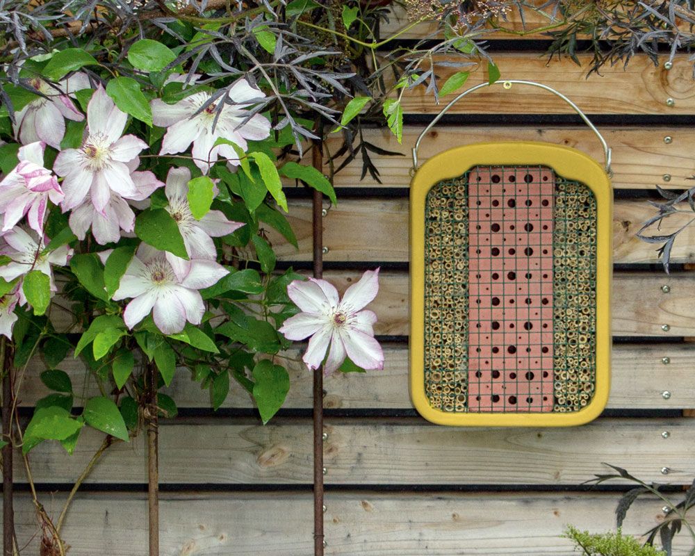 Naturschutzprodukt Insektennistwand mit Füllung aus Lehm und Schilf Insektenhotel