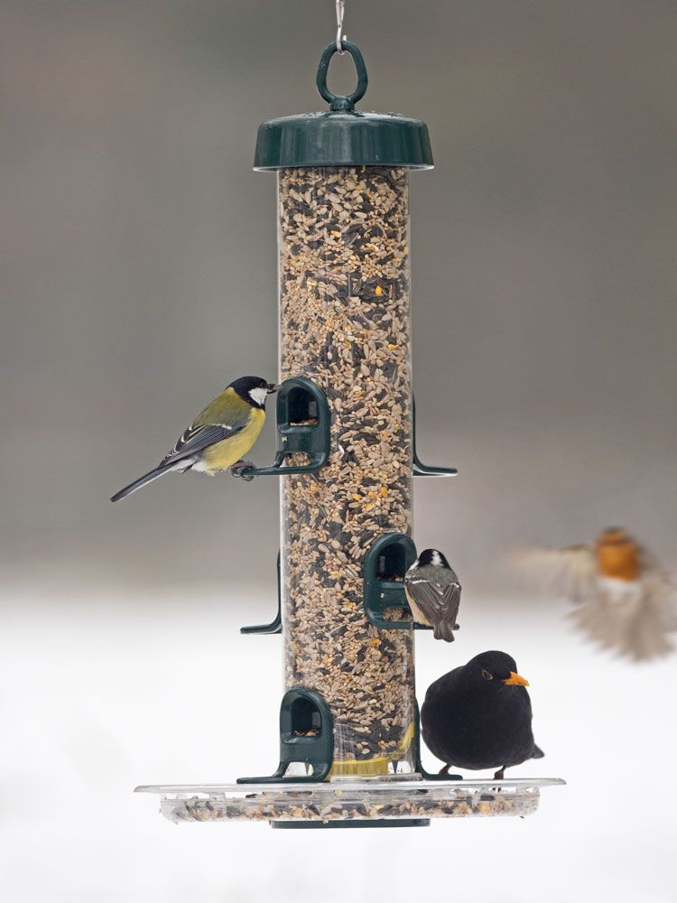 Naturschutzprodukt Futtersäule Big Easy mit Futterteller Metall Futterstation H 50 cm Inhalt 2,2 l