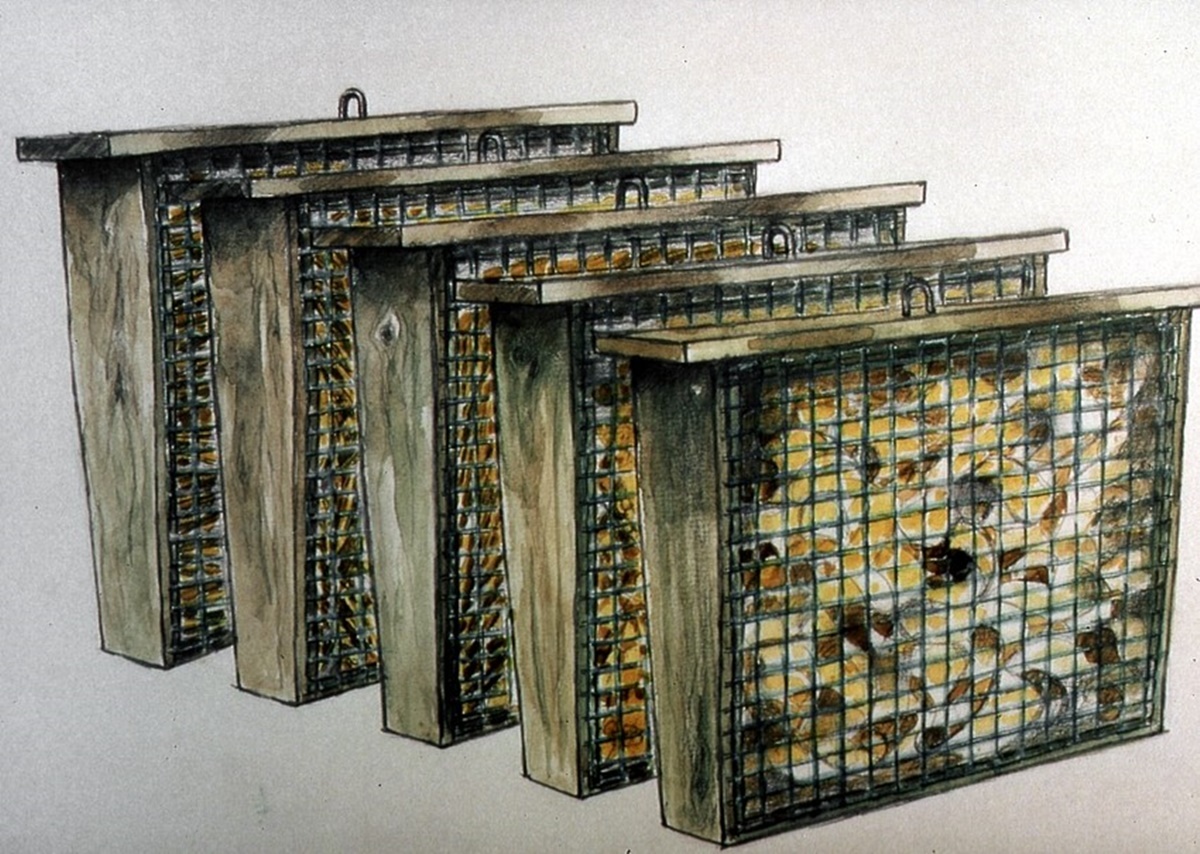 Naturschutzprodukt Insekten-Kombi robustes Gehäuse aus Holzbeton für nützliche Insekten