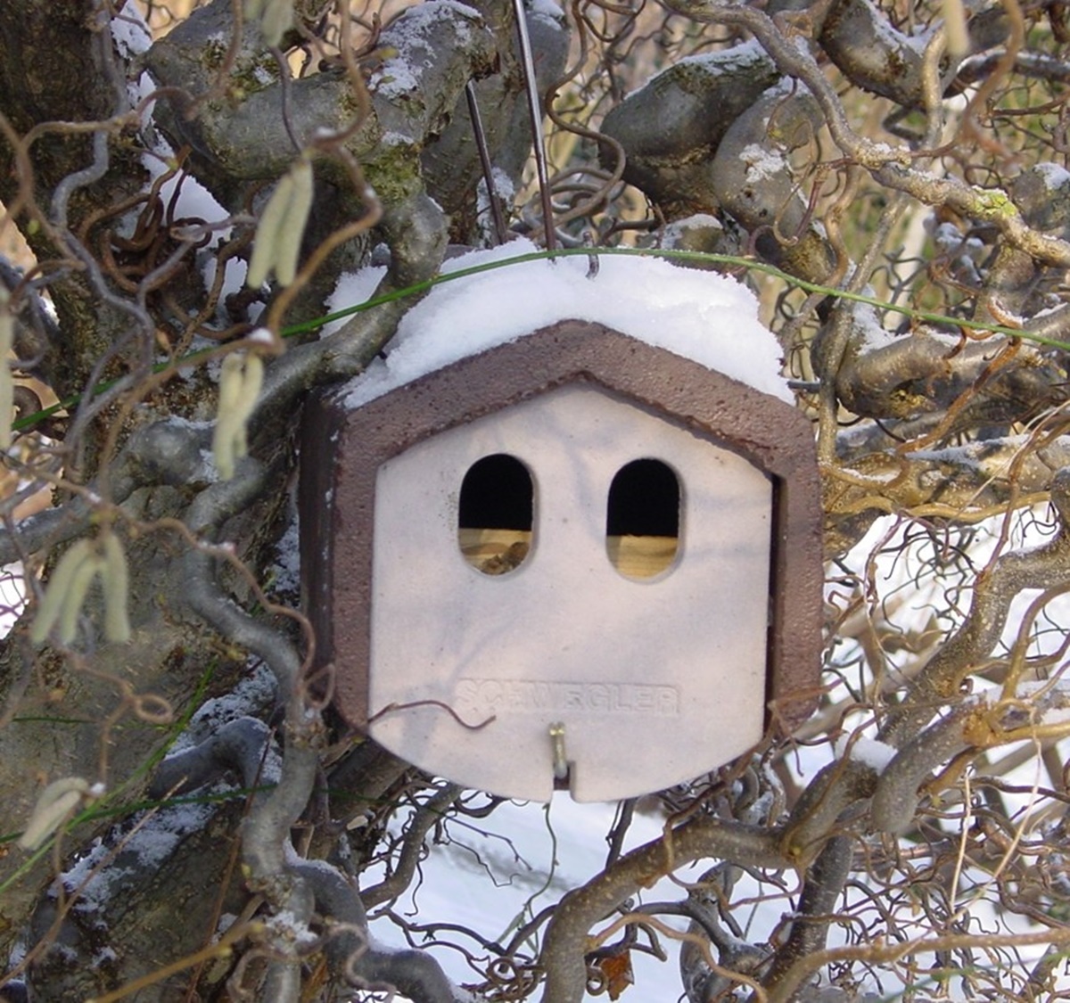 Naturschutzprodukt Nischenbrüterhöhle Typ 1N räubersicher Flugloch 30 x 50 mm Artenschutz Produkt