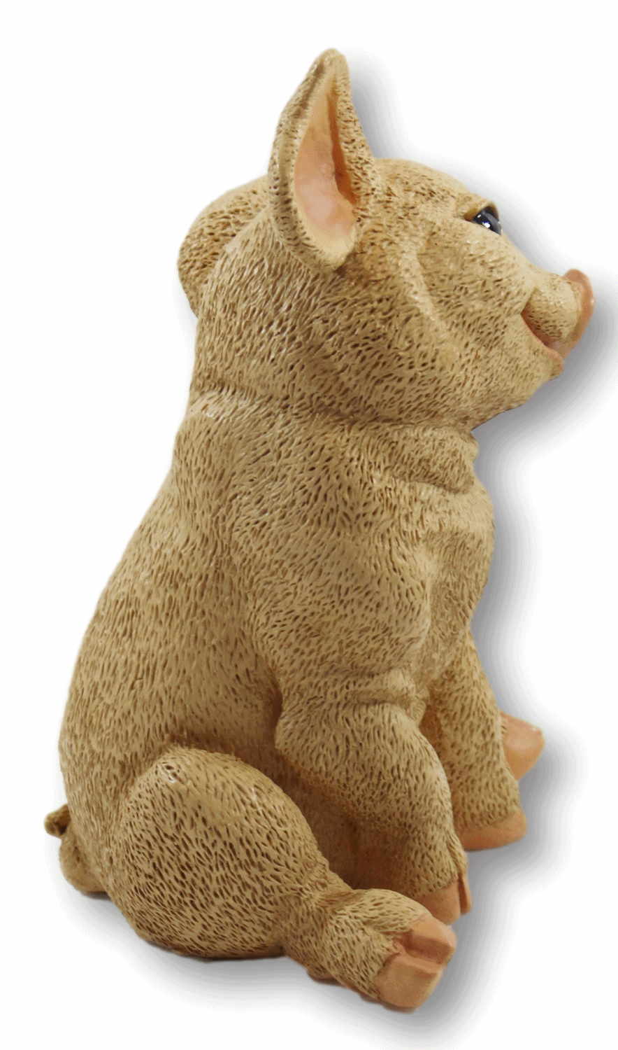 Dekofigur Tierfigur Schwein Ferkel Schweinchen sitzend natur Kollektion Castagna aus Resin H 22 cm