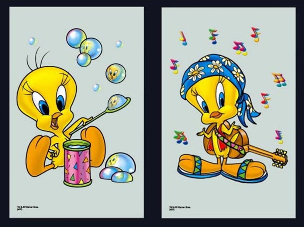Set 2 Spiegelbilder Looney Tunes Tweety Deko Bild 30x20 cm Wandbilder Hinterglasdruck mit Rahmen