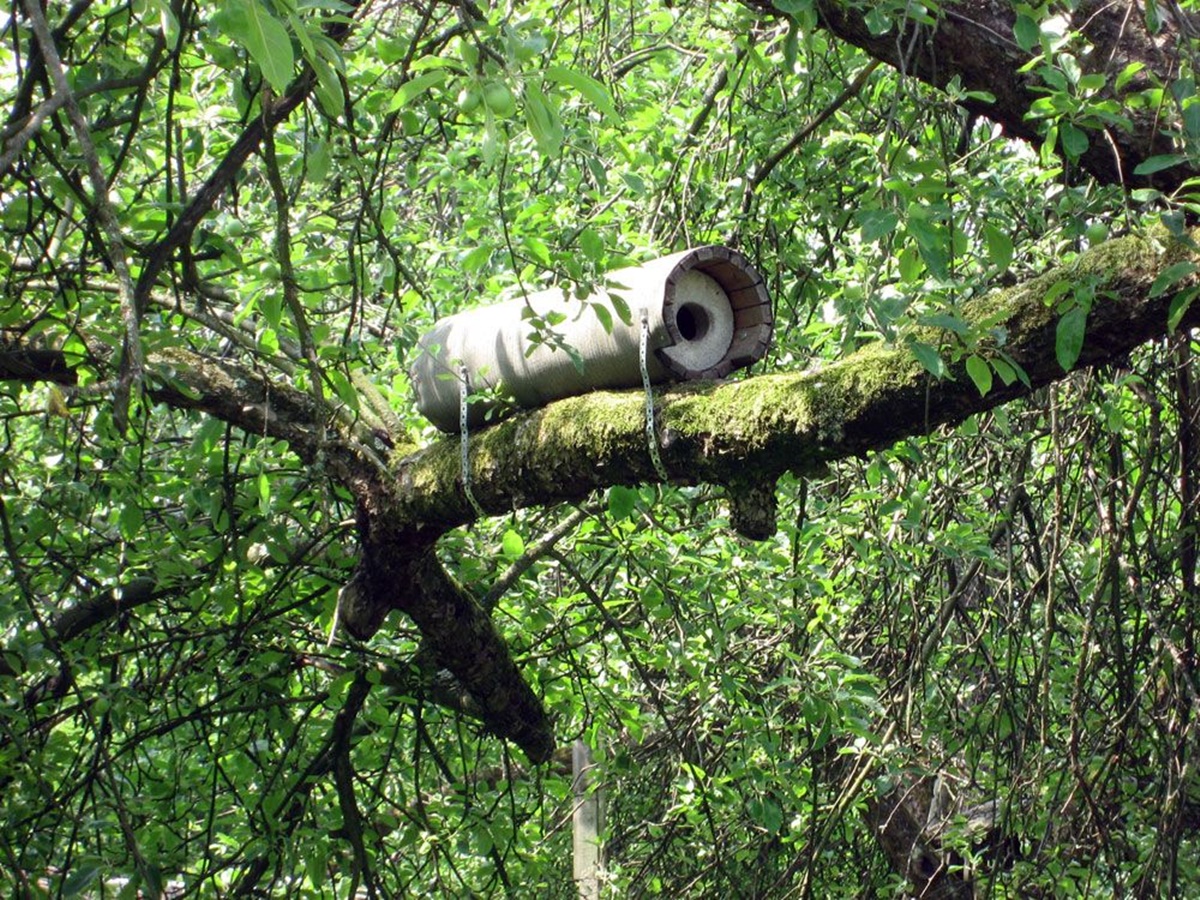 Naturschutzprodukt Steinkauzröhre Typ 20 ohne Marderschutz Artenschutz Produkt