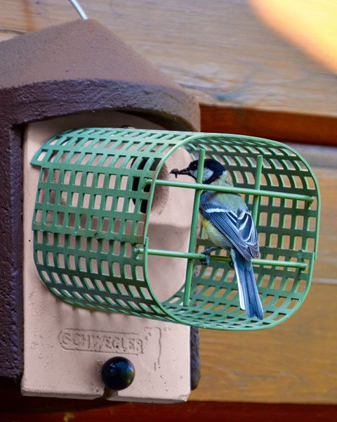 Naturschutzprodukt Satz 2 Stück Nisthöhlen 2GR-WBS rot Nisthilfe mit integriertem Waschbärschutz