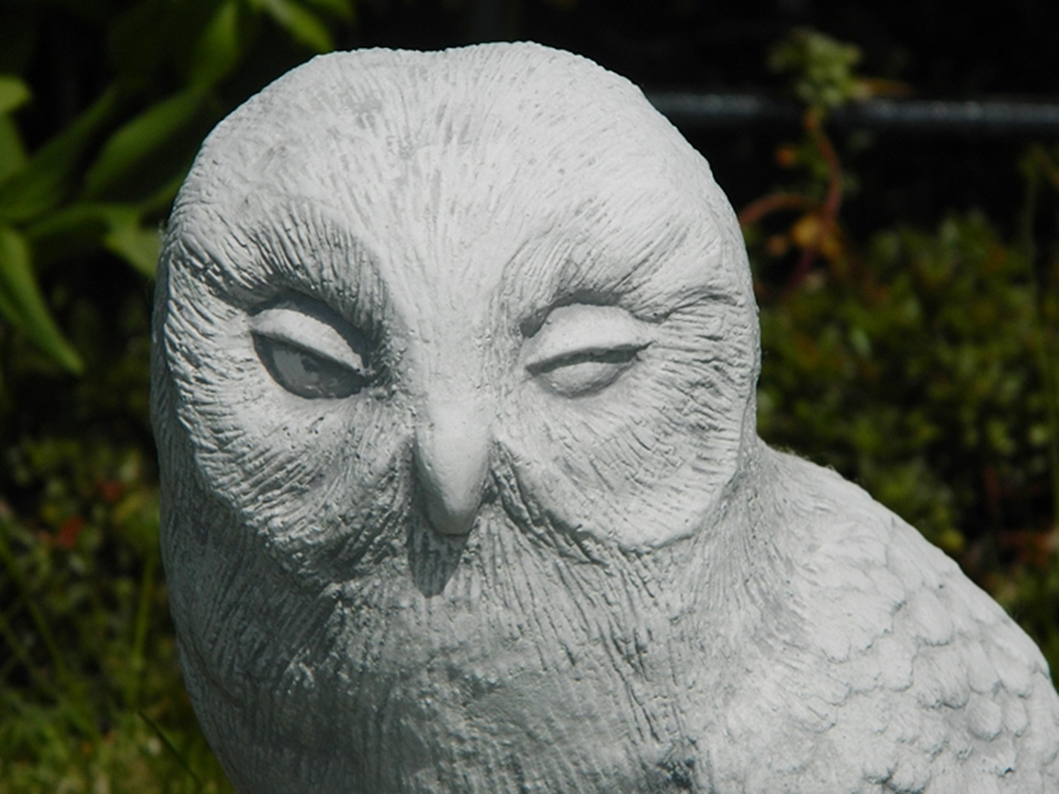 Beton Figur Steinkauz Eule Vogelfigur H 26 cm Waldvogel Dekofigur und Gartenfigur