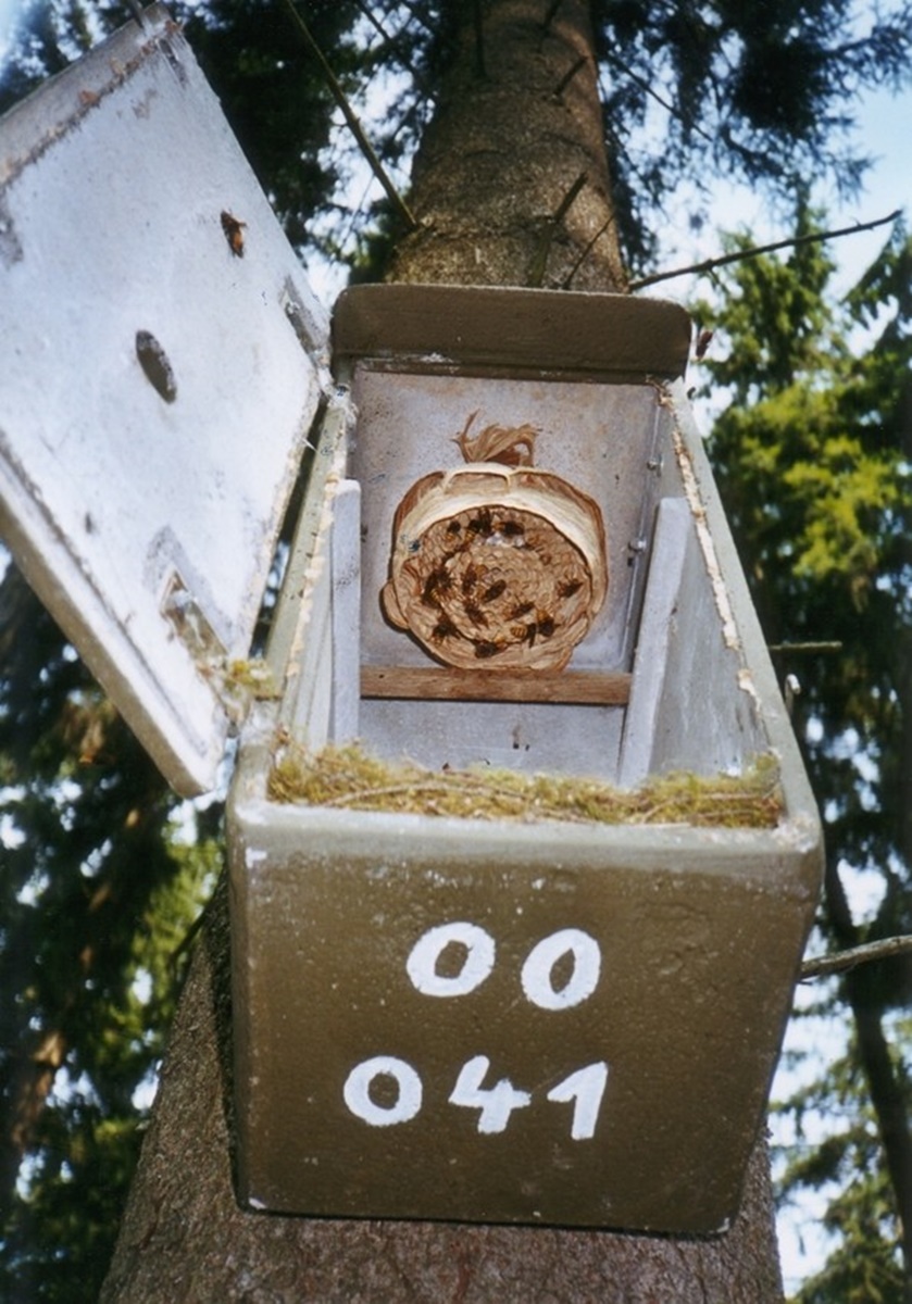 Naturschutzprodukt Hornissenkasten H 60 cm artgereicht aus atmungsaktivem Holzbeton
