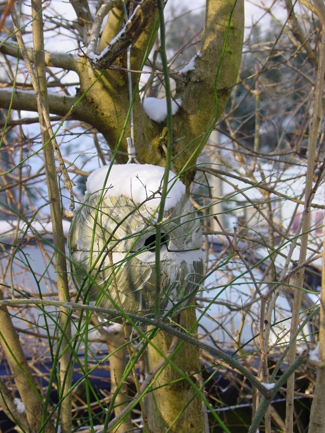 Naturschutzprodukt Nisthilfe Zaunkönigkugel 1ZA Efeu Satz 2 Stück Flugloch 30 x 27 mm"