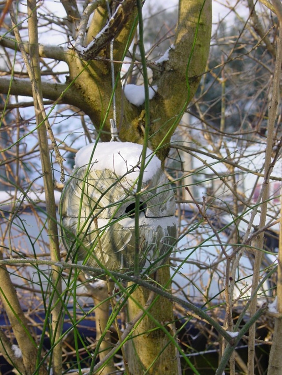 Nisthöhlen Satz 3 Stück Halbhöhle, Zaunkönigkugel, Meisenresidenz Eleganz und Artenschutz grün