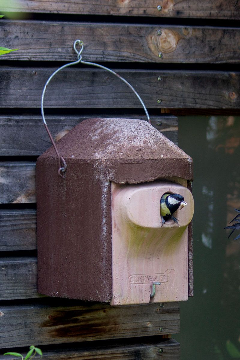 Naturschutzprodukt Nisthöhle Typ 2GR oval braun Flugloch 30 x 45 mm Nisthilfe Katzen- Marderschutz