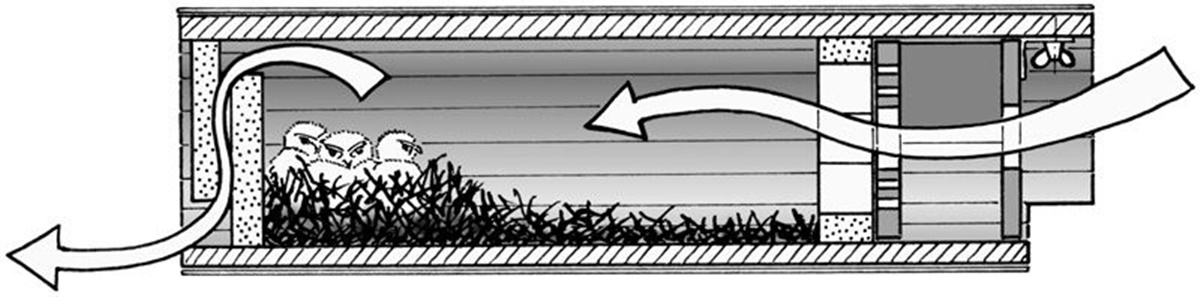 Naturschutzprodukt Steinkauzröhre Typ 20B mit Marderschutz und Belüftung