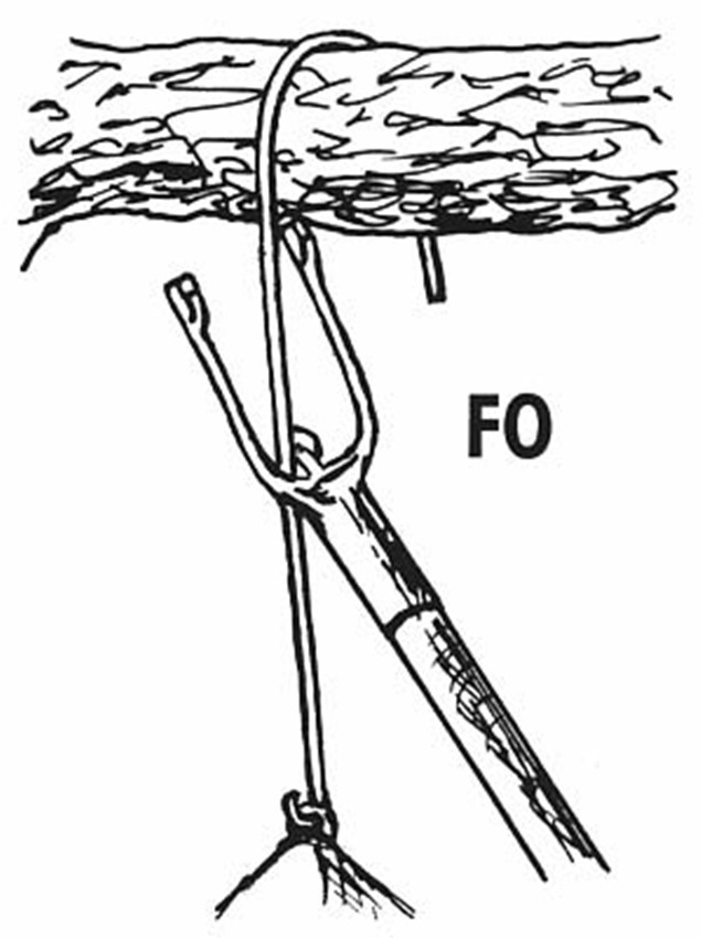 Naturschutzprodukt Nisthöhle Satz 2 Stück Typ 2M Vogelnisthöhle hängend FO Flugloch 29 x 55 mm