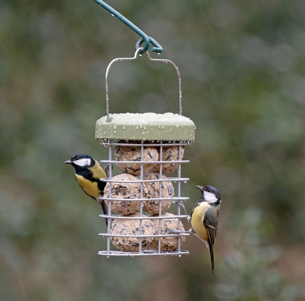 Futterkorb Premium Futterstation für 6 Meisenknödel oder 2 Cakes H 27 cm aus Metall