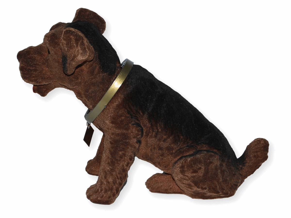 Wackel Figur Hund Airedale Terrier Wackelfigur H 20,5 cm groß Dekofigur mit Wackelkopf