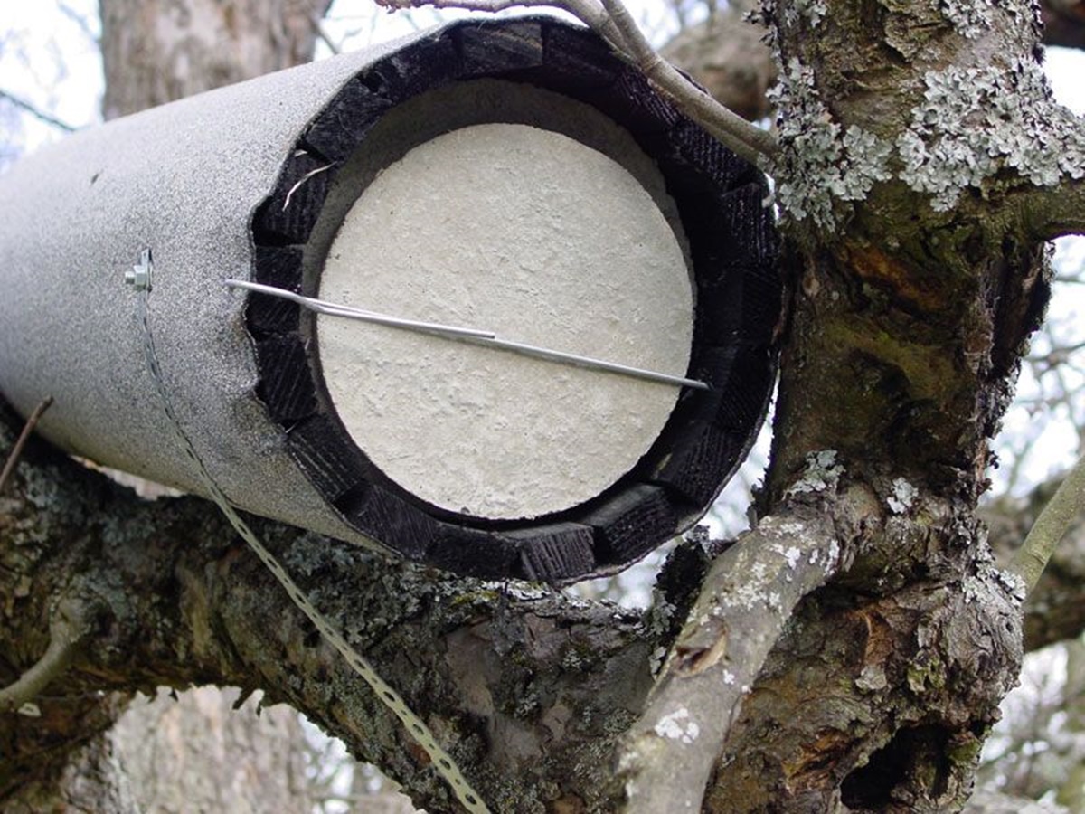 Naturschutzprodukt Steinkauzröhre Typ 20B mit Marderschutz und Belüftung