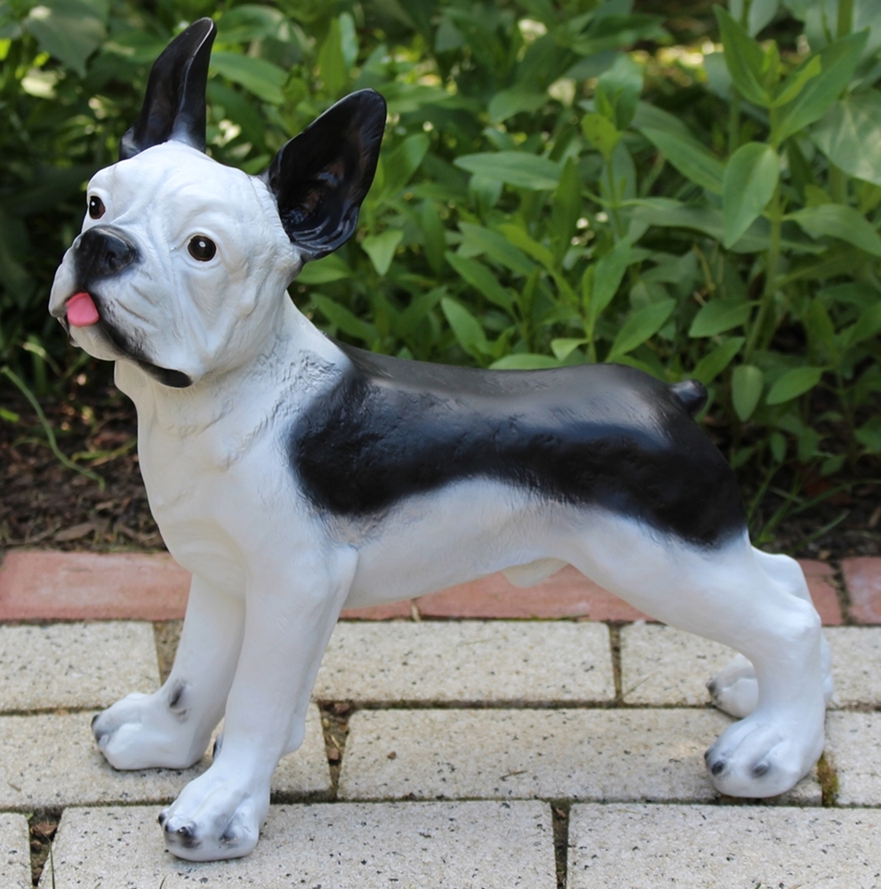 Dekofigur Französische Bulldogge Hund Deko Figur H 32 cm Kunstharz Tierfigur stehend Garten Figur