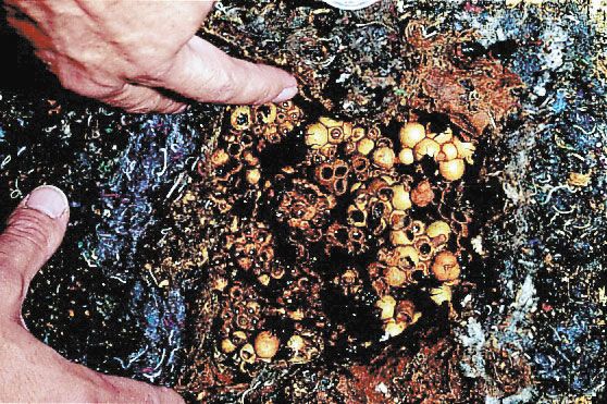 Naturschutzprodukt Satz 2 Stück Hummelnistkasten oberirdisch Länge 54 cm aus Holzbeton Artenschutz