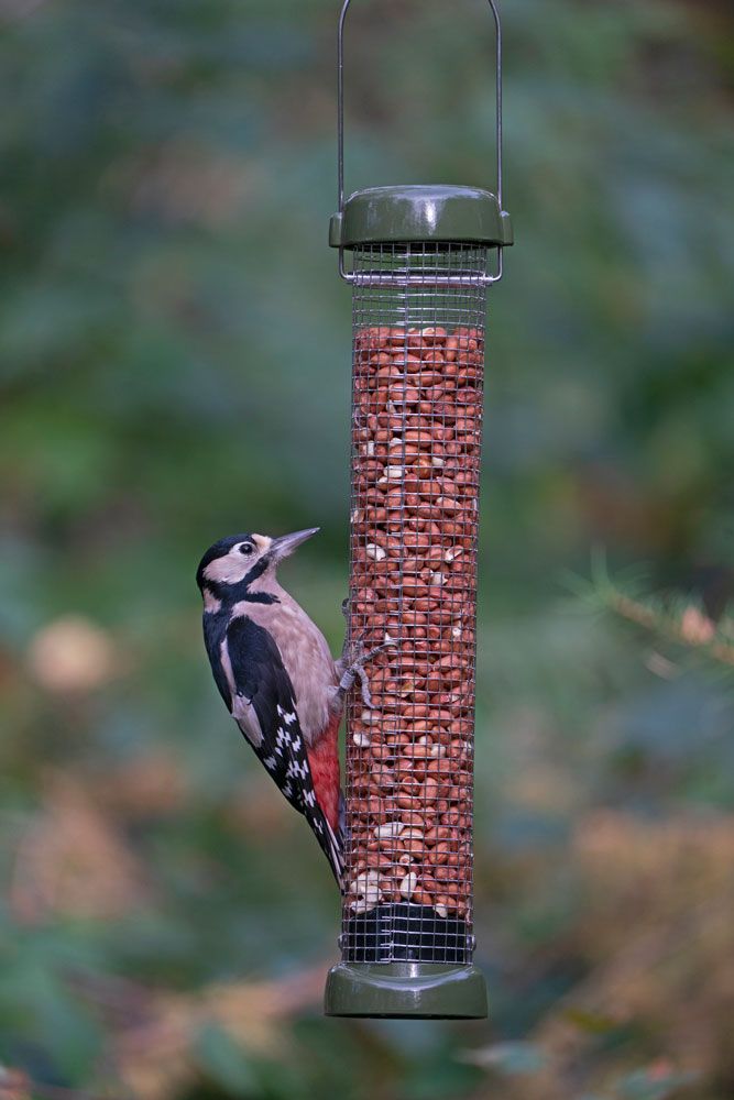 Naturschutzprodukt Erdnuss Futtersäulen Satz 2 Stück " Ring-Pull Click midi" grün Metall Inhalt 1 l