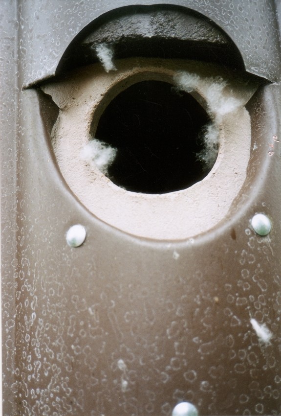 Naturschutzprodukt Eulen- Raufußkauz-, Hohltaubenhöhle Typ Nr. 4 mit Marderschutz durch Vorderwand