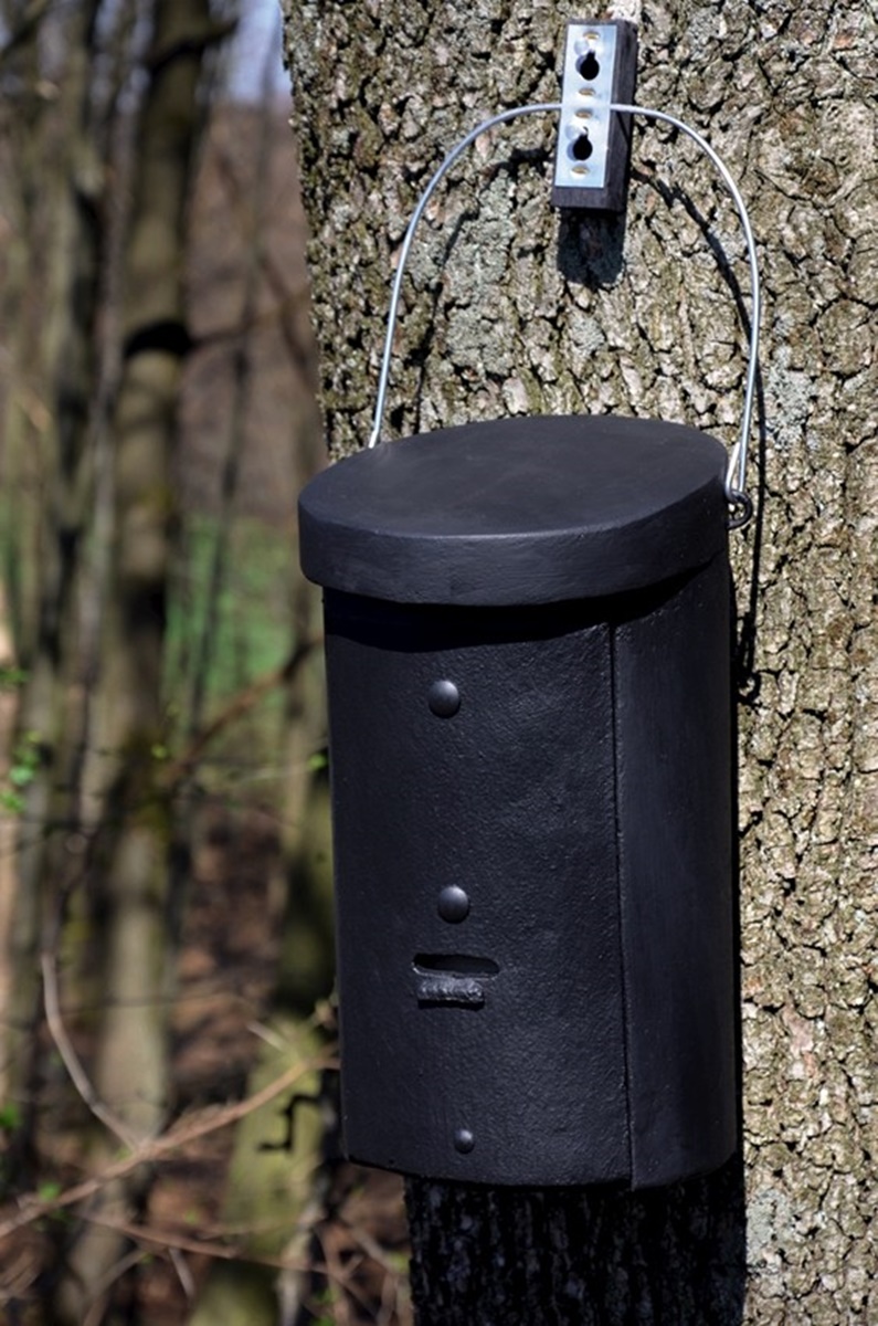 Naturschutzprodukt Fledermaus-Großraumhöhle Typ 2FS Nisthöhle für Kleinfledermäuse