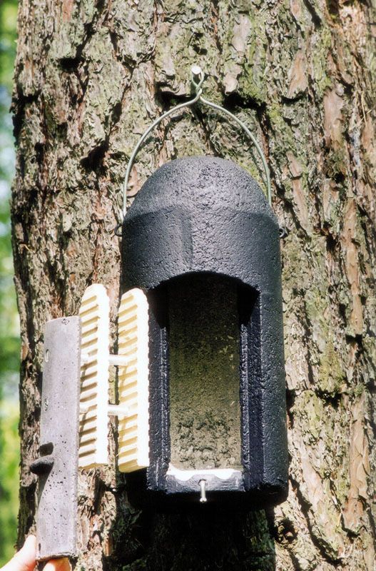 Naturschutzprodukt Fledermaushöhle 1FD mit dreifacher Vorderwand Artenschutz Produkt Fledermäuse
