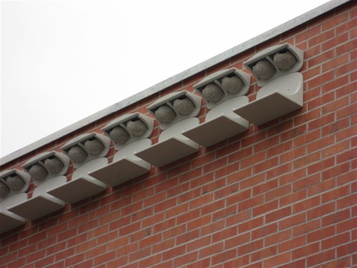 Naturschutzprodukt Zubehör Kotbrett für Mehlschwalben-Fassadennest Nr. 11 Hygieneartikel