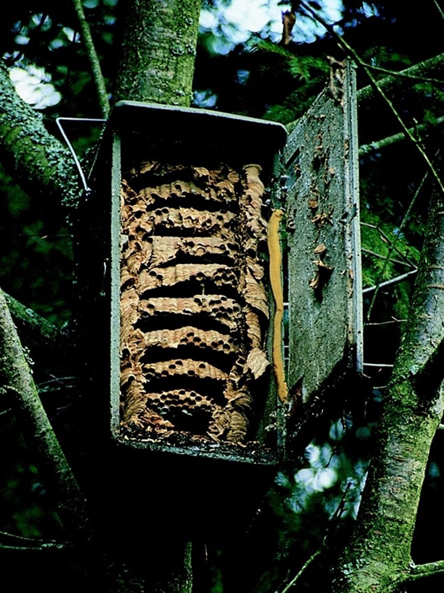 Naturschutzprodukt Hornissenkasten H 60 cm artgereicht aus atmungsaktivem Holzbeton