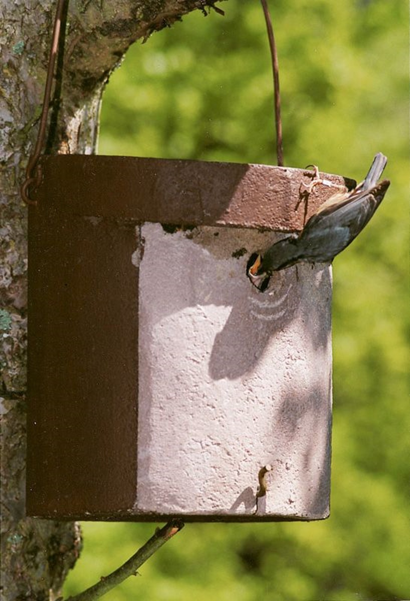 Naturschutzprodukt Kleiberhöhle Typ 5KL Flugloch 32 mm artgerechter Brutraum für Kleiber
