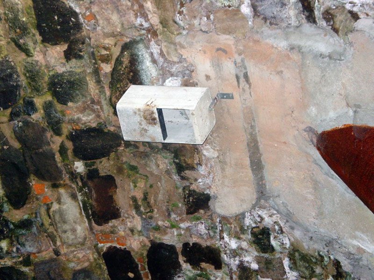 Naturschutzprodukt Wasseramsel- und Bachstelzennistkasten Typ Nr. 19 räubersichere Nisthilfe