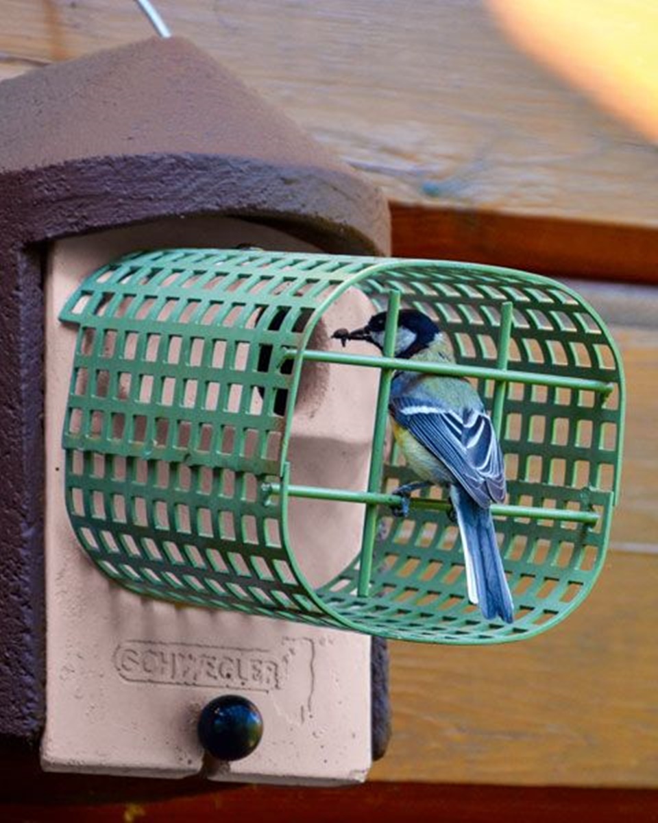 Naturschutzprodukt Nisthöhle 2GR-WBS grün Nisthilfe mit integriertem Waschbärschutz